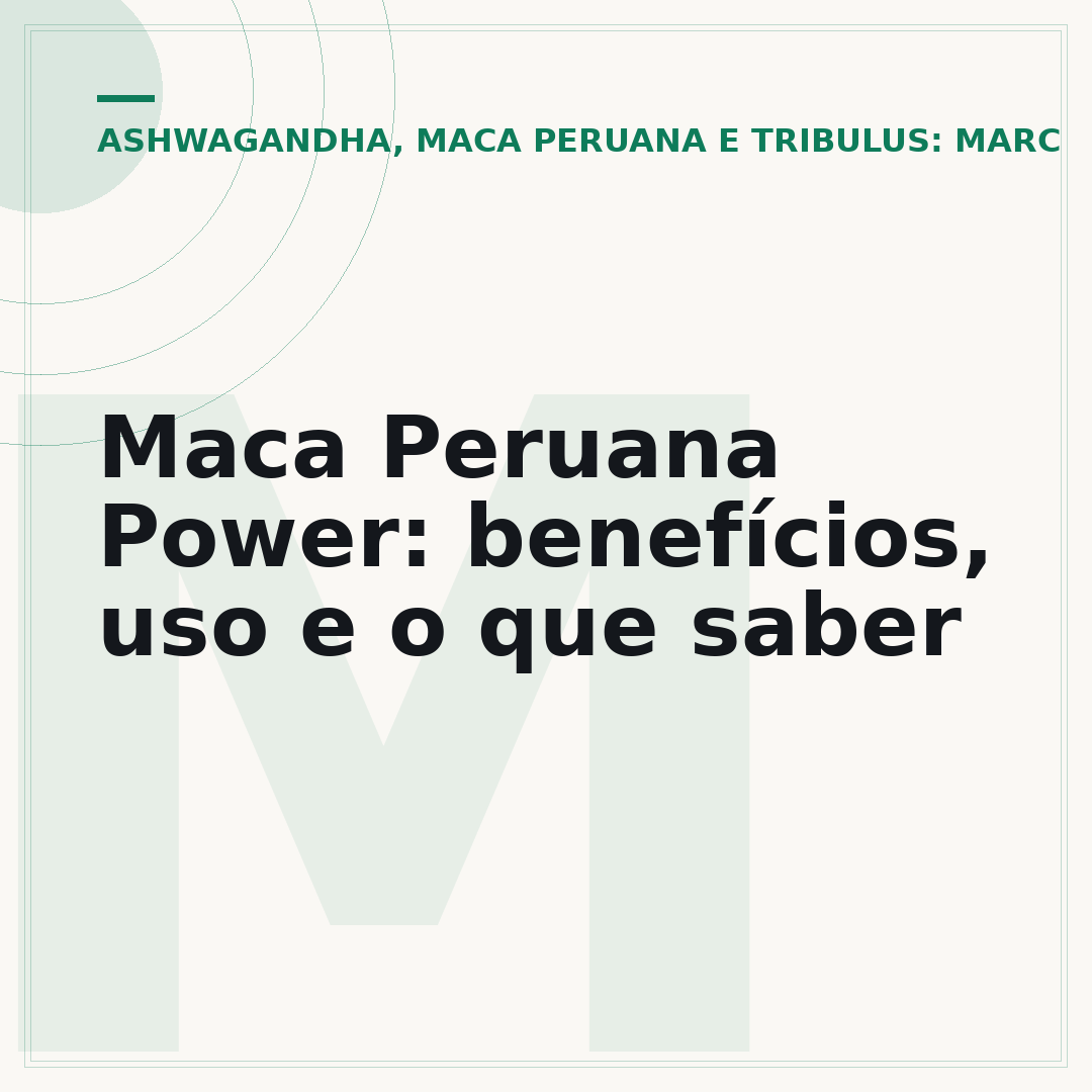 Maca Peruana Power: benefícios, uso e o que saber