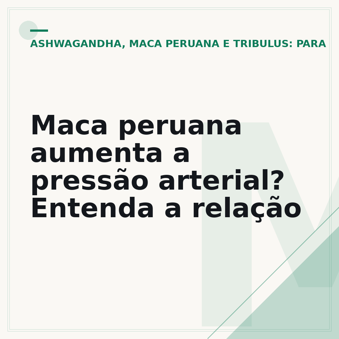 Maca peruana aumenta a pressão arterial? Entenda a relação