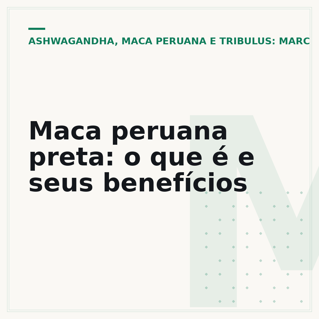 Maca peruana preta: o que é e seus benefícios