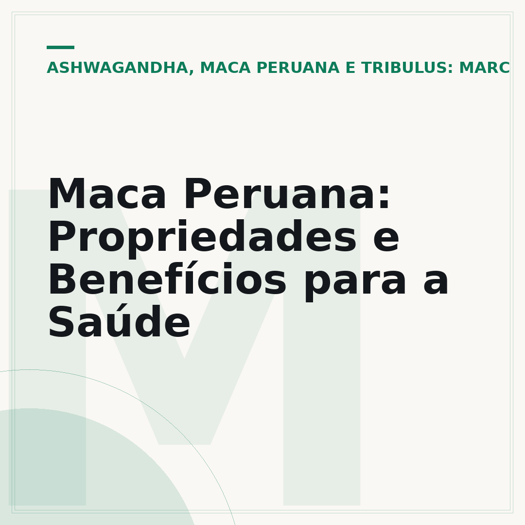 Maca Peruana: Propriedades e Benefícios para a Saúde
