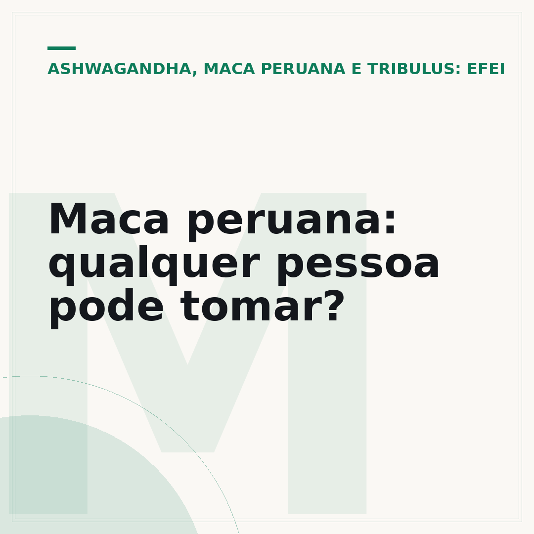 Maca peruana: qualquer pessoa pode tomar?
