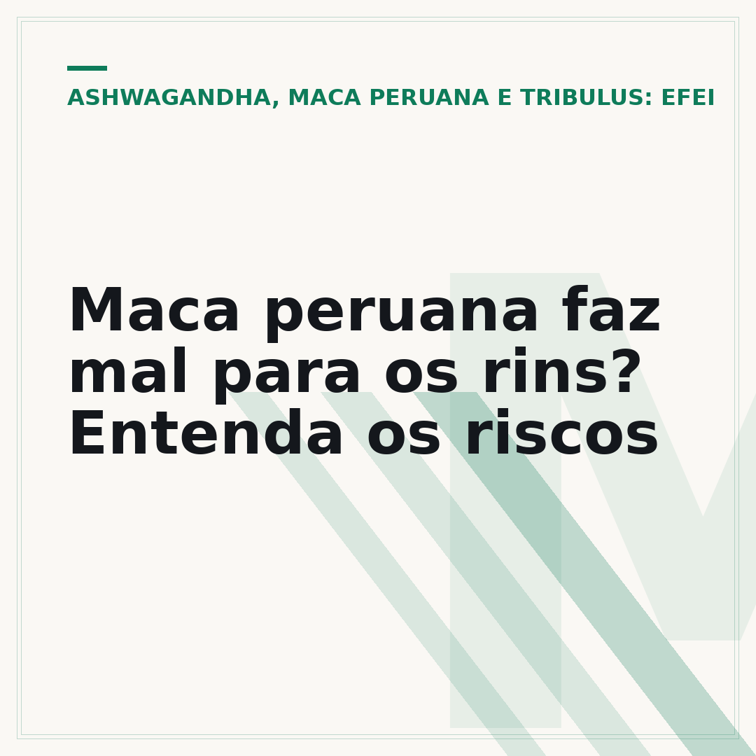 Maca peruana faz mal para os rins? Entenda os riscos