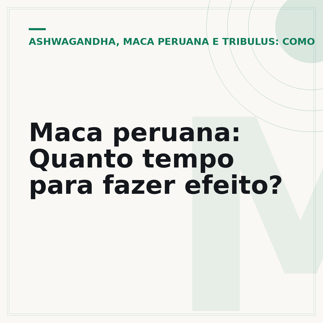 Maca peruana: Quanto tempo para fazer efeito?