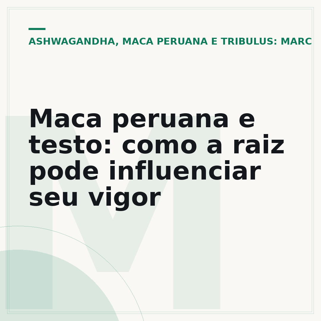 Maca peruana e testo: como a raiz pode influenciar seu vigor