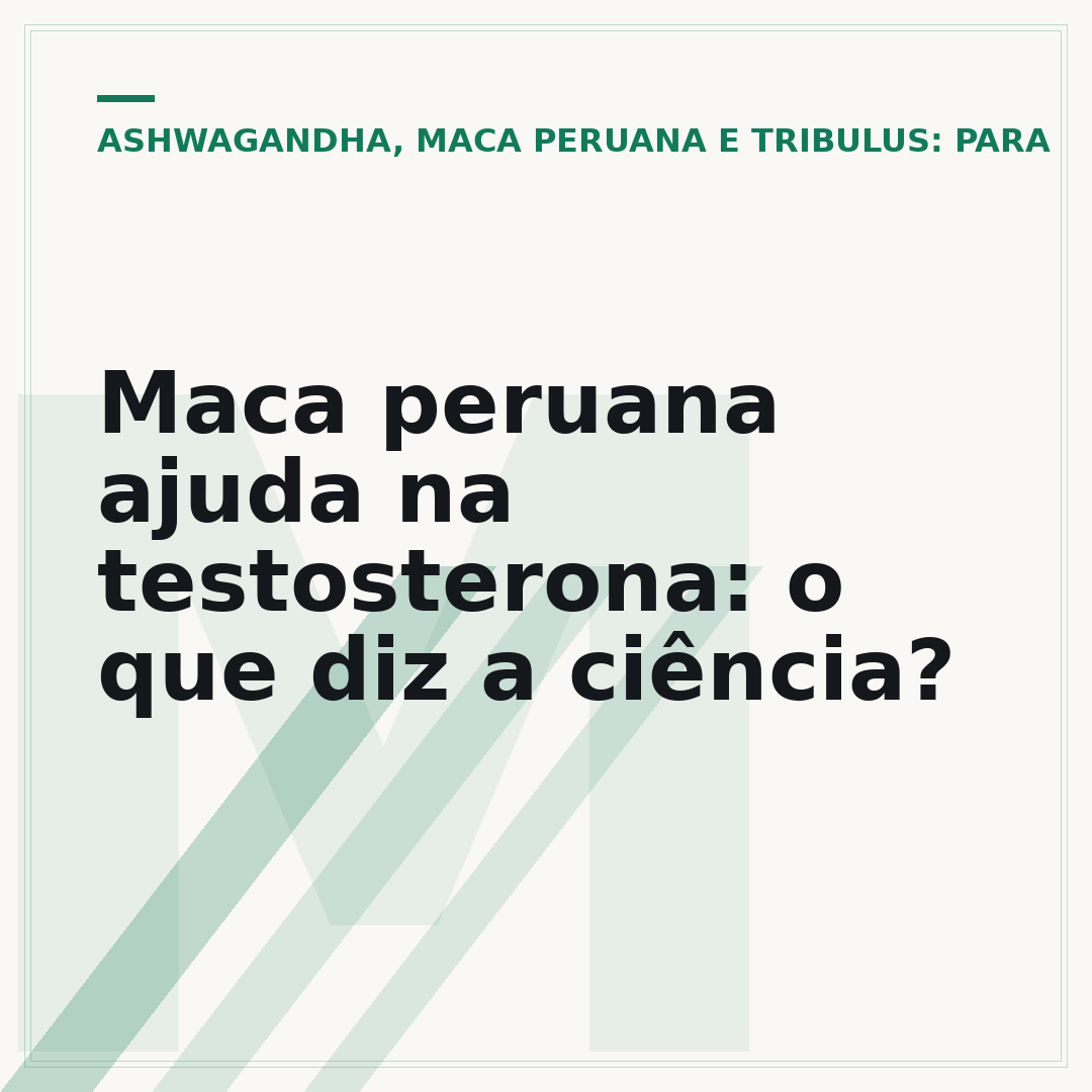 Maca peruana ajuda na testosterona: o que diz a ciência?