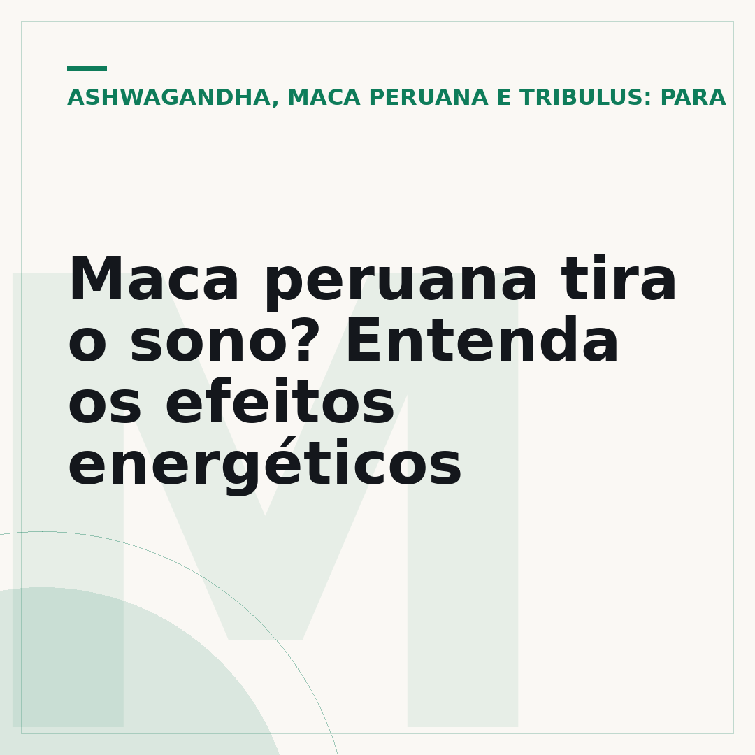 Maca peruana tira o sono? Entenda os efeitos energéticos