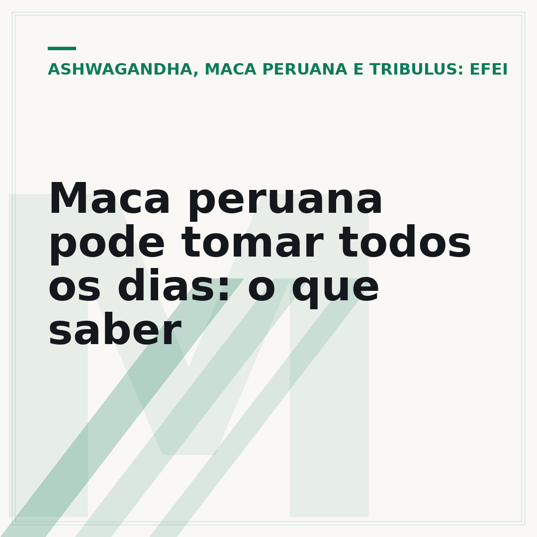 Maca peruana pode tomar todos os dias: o que saber