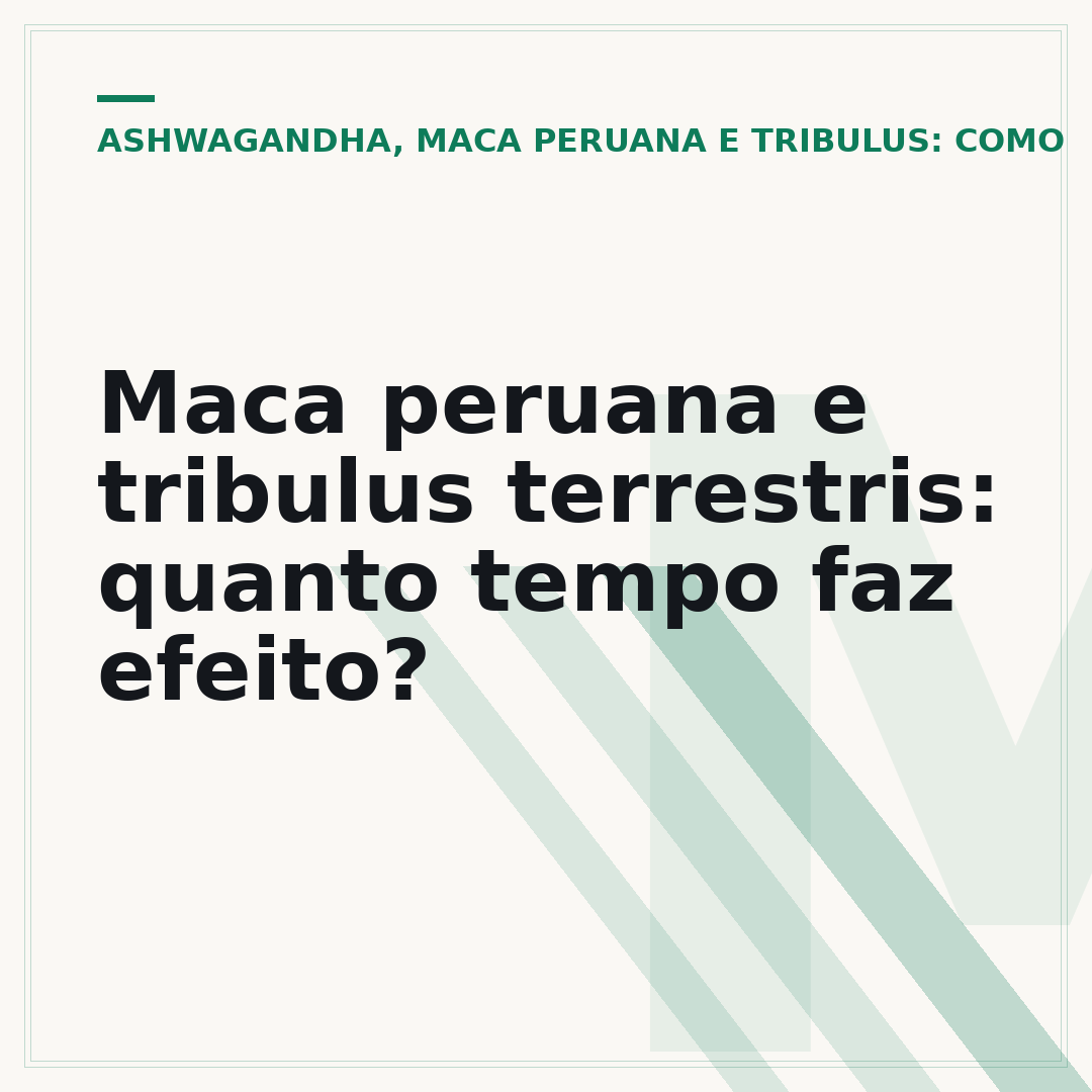 Maca peruana e tribulus terrestris: quanto tempo faz efeito?