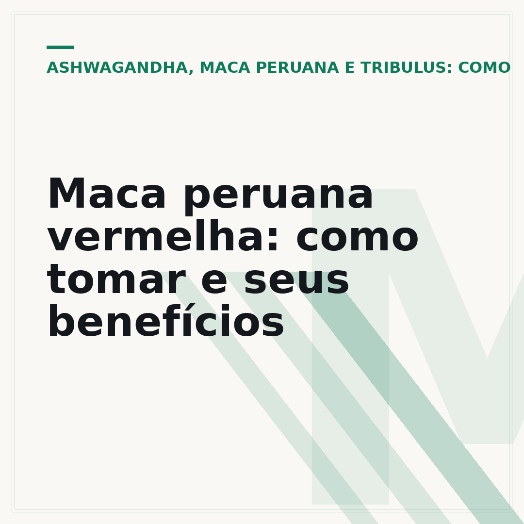 Maca peruana vermelha: como tomar e seus benefícios