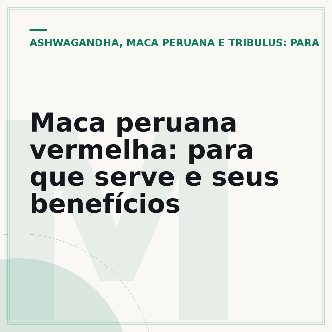 Maca peruana vermelha: para que serve e seus benefícios