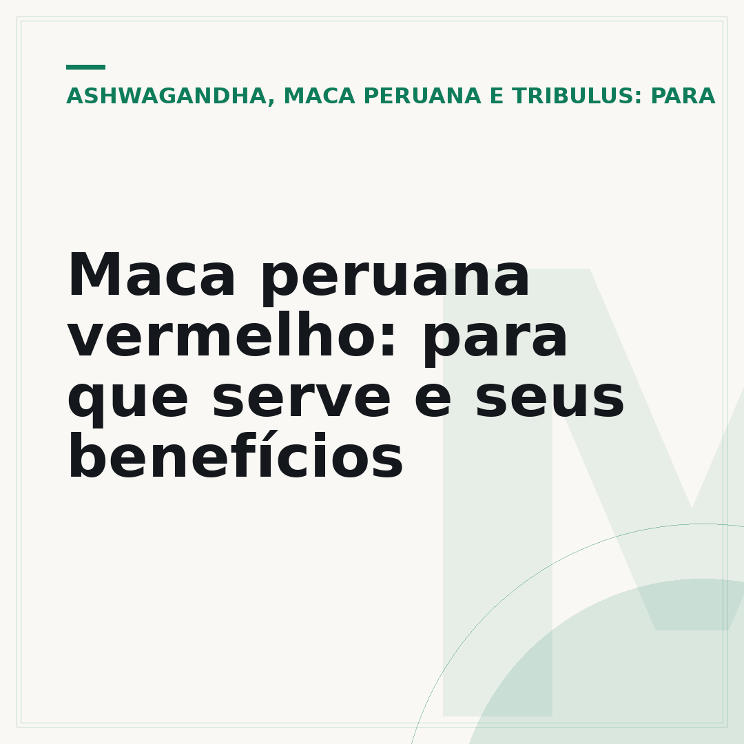 Maca peruana vermelho: para que serve e seus benefícios