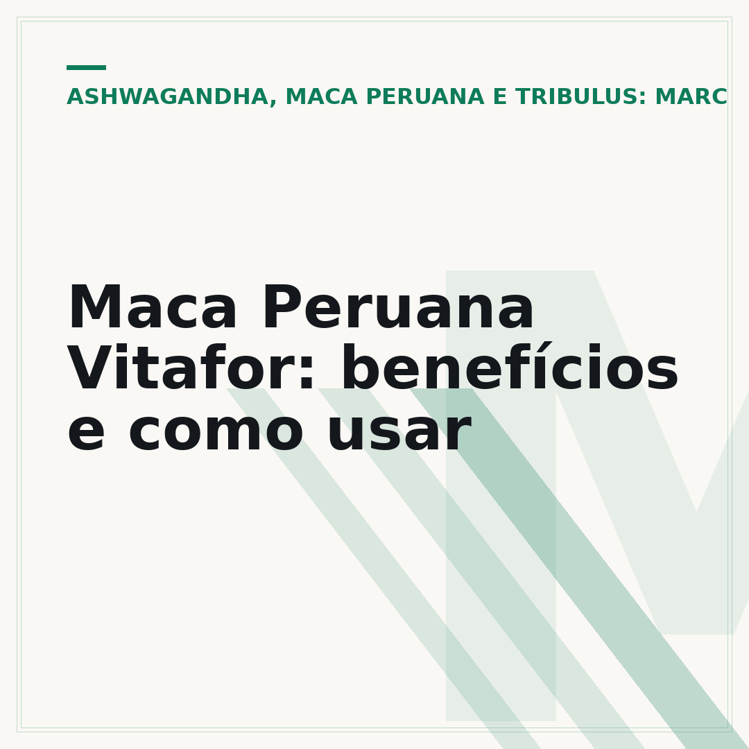 Maca Peruana Vitafor: benefícios e como usar