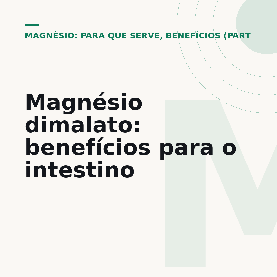 Magnésio dimalato: benefícios para o intestino