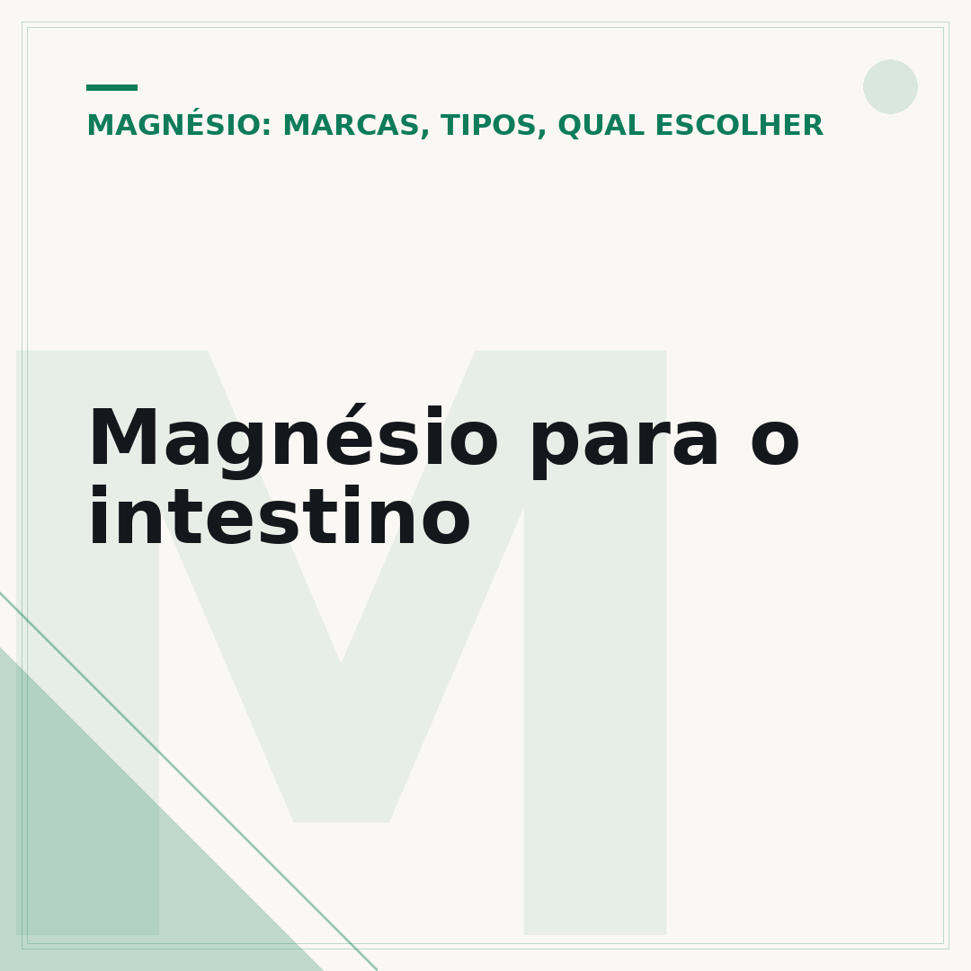 Magnésio para o intestino