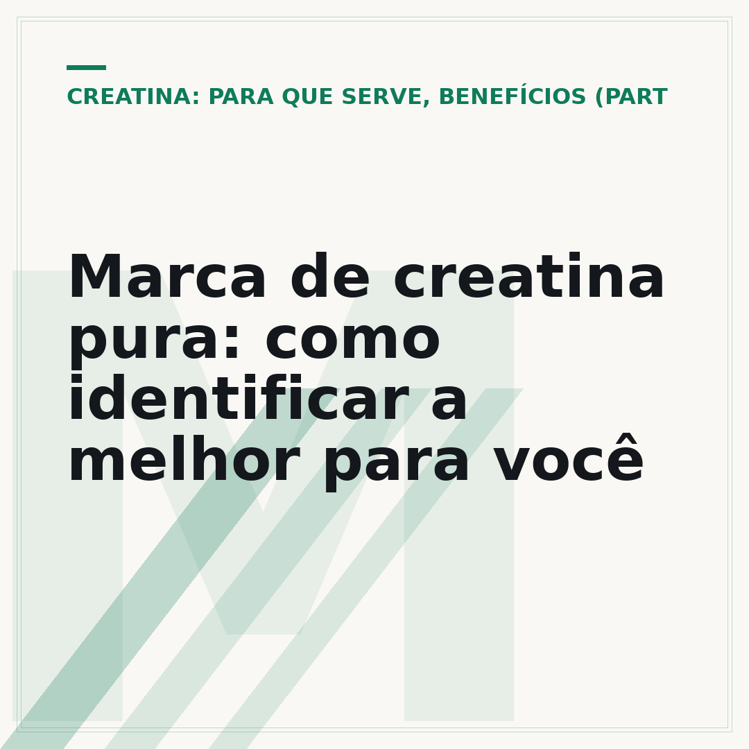 Marca de creatina pura: como identificar a melhor para você