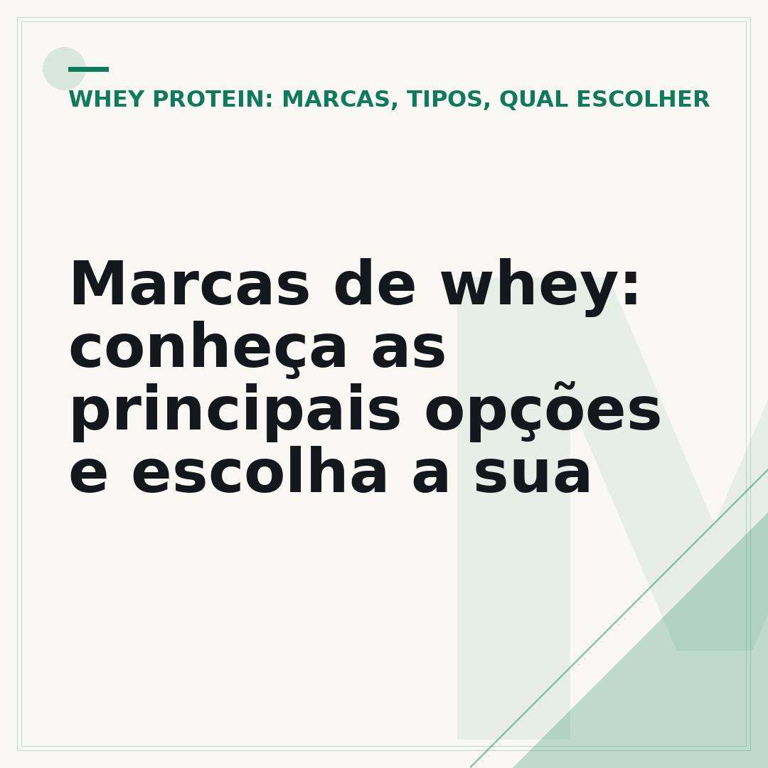 Marcas de whey: conheça as principais opções e escolha a sua