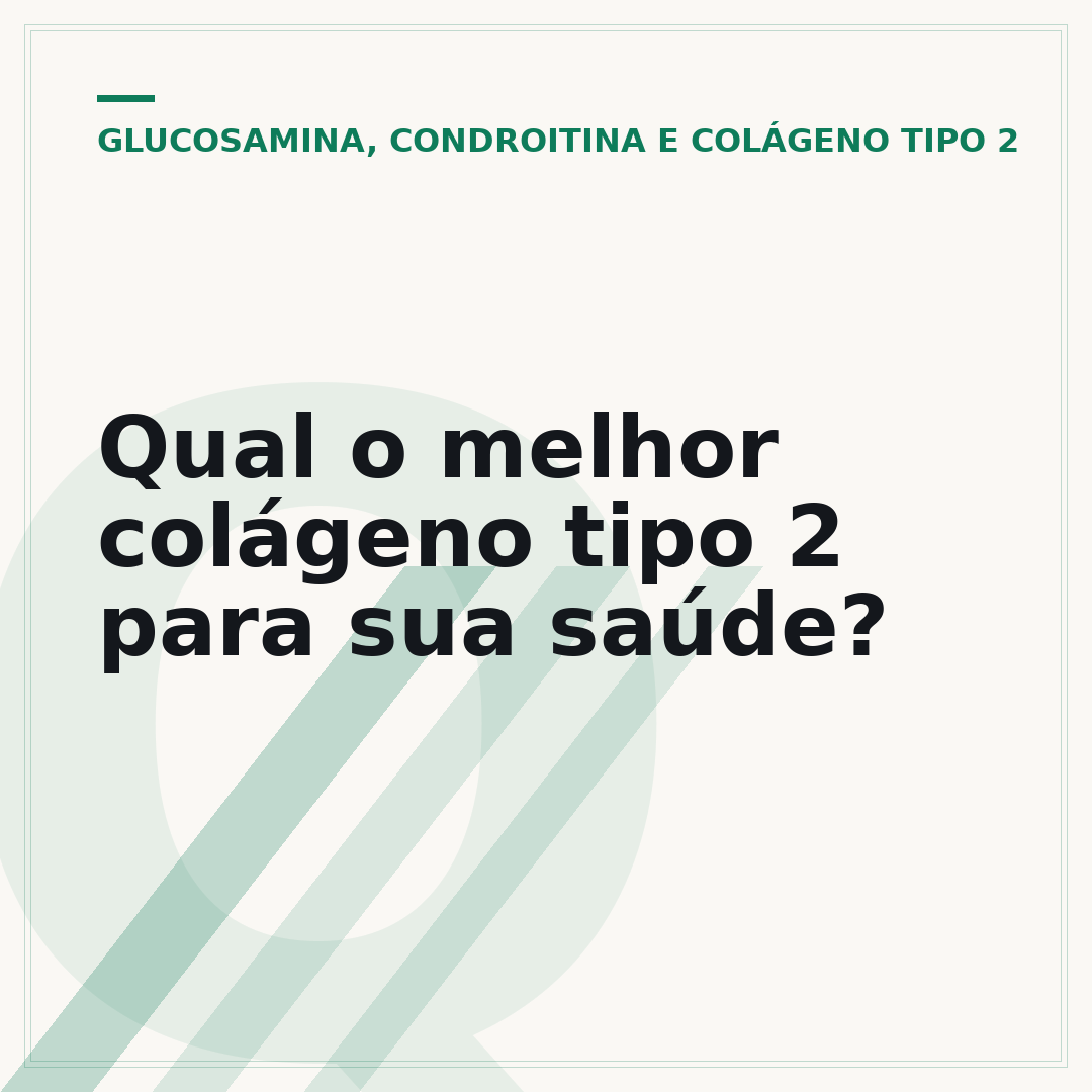 Qual o melhor colágeno tipo 2 para sua saúde?