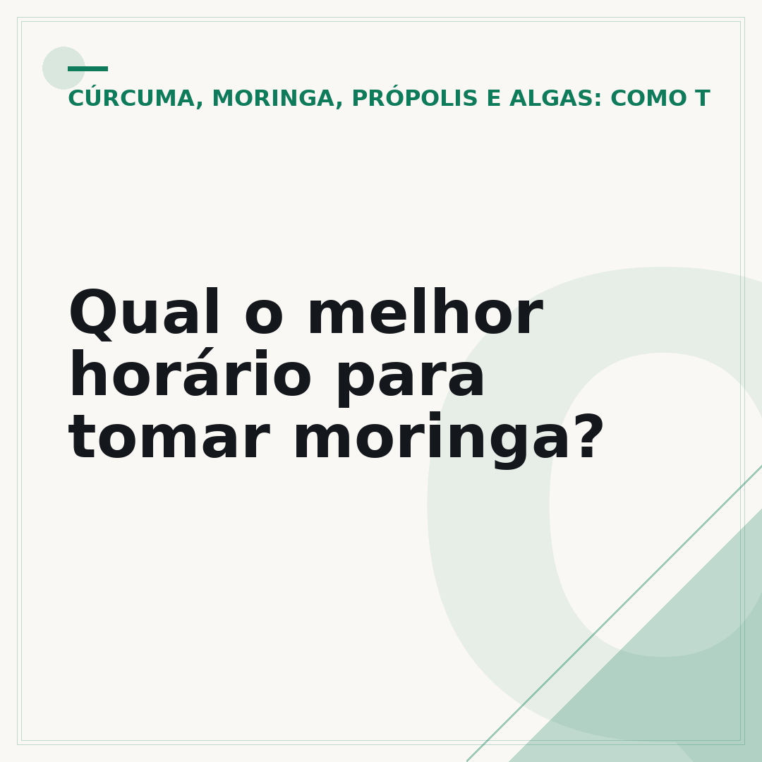 Qual o melhor horário para tomar moringa?