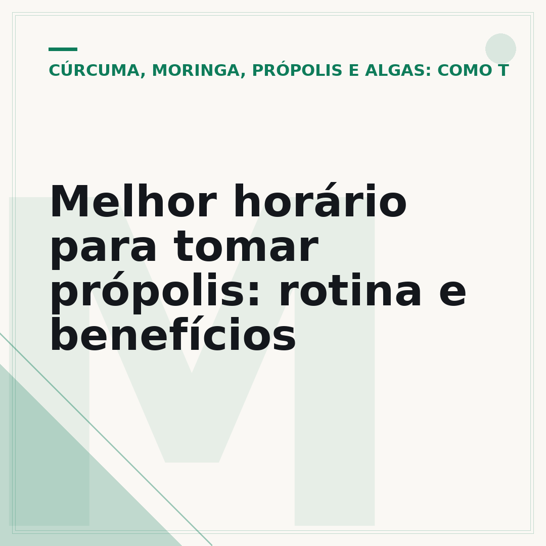 Melhor horário para tomar própolis: rotina e benefícios