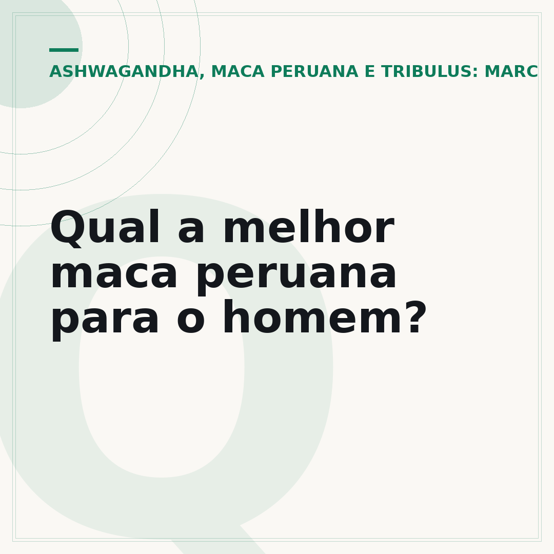 Qual a melhor maca peruana para o homem?