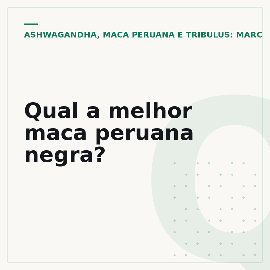 Qual a melhor maca peruana negra?