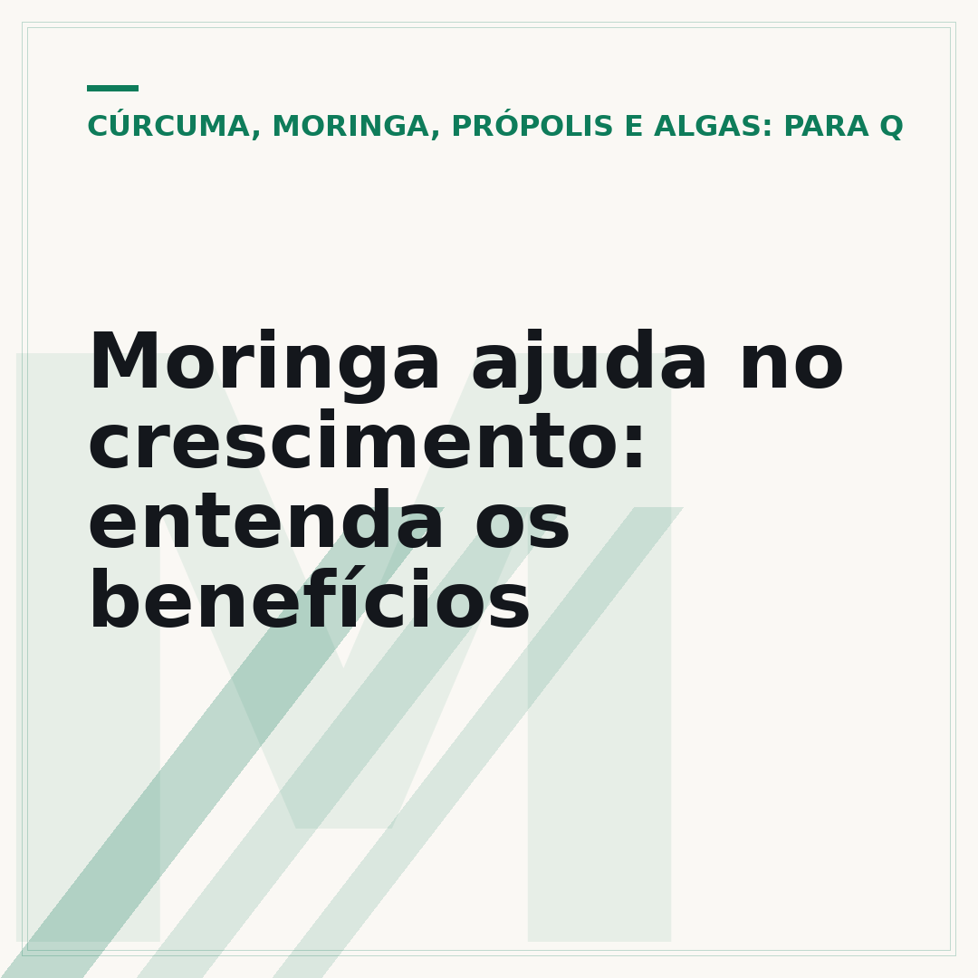 Moringa ajuda no crescimento: entenda os benefícios