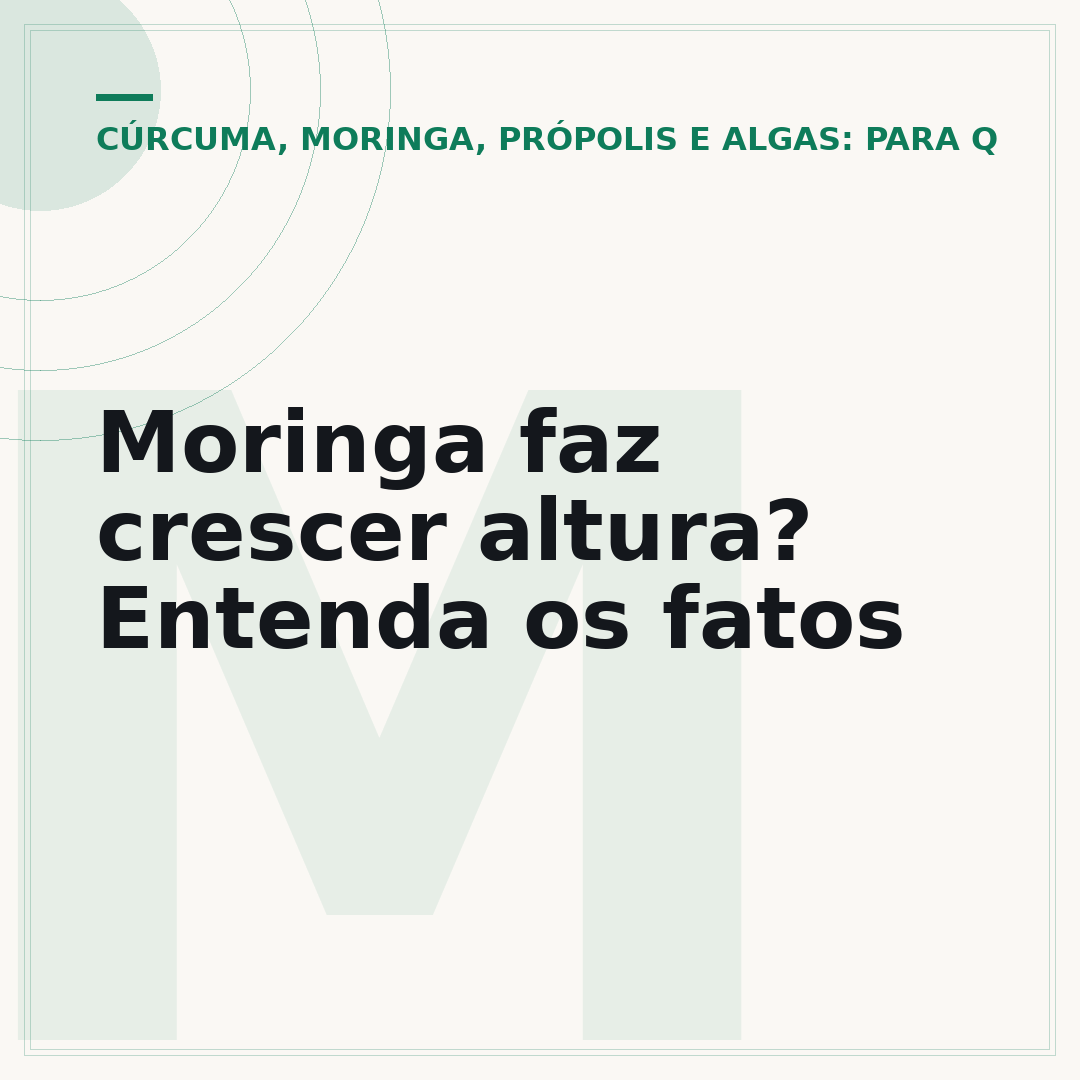 Moringa faz crescer altura? Entenda os fatos