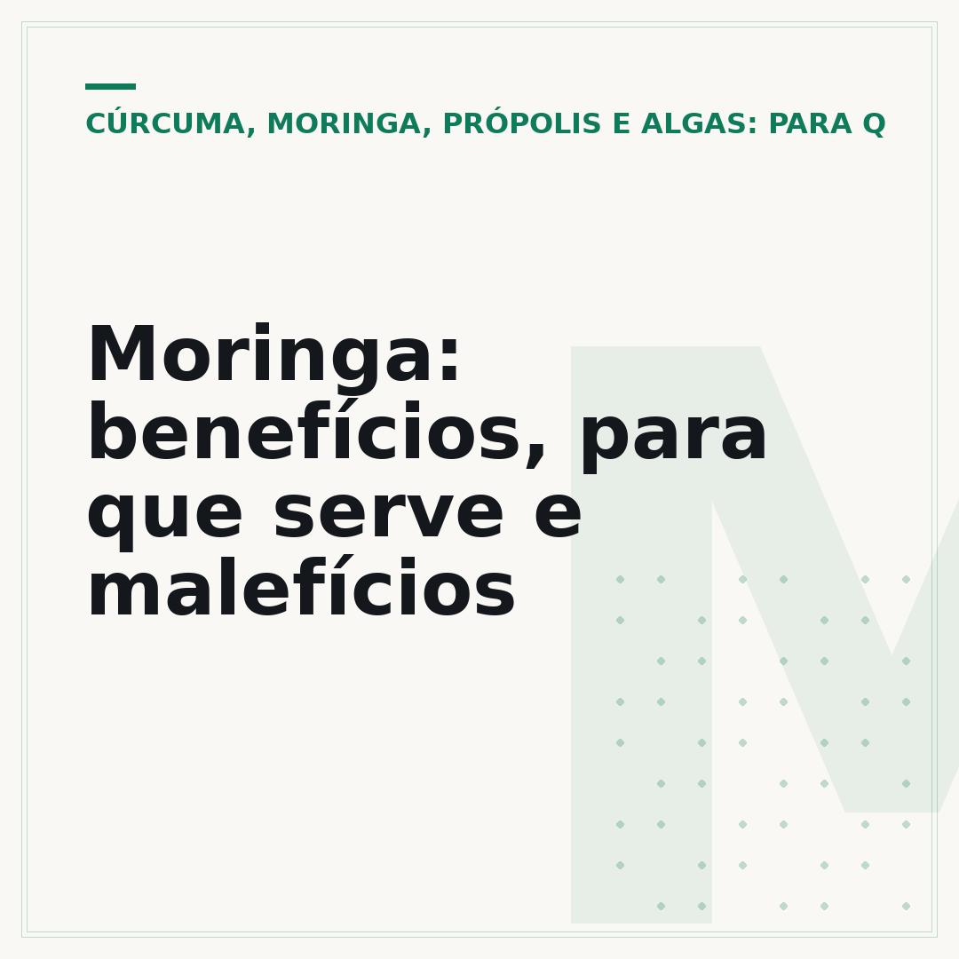 Moringa: benefícios, para que serve e malefícios