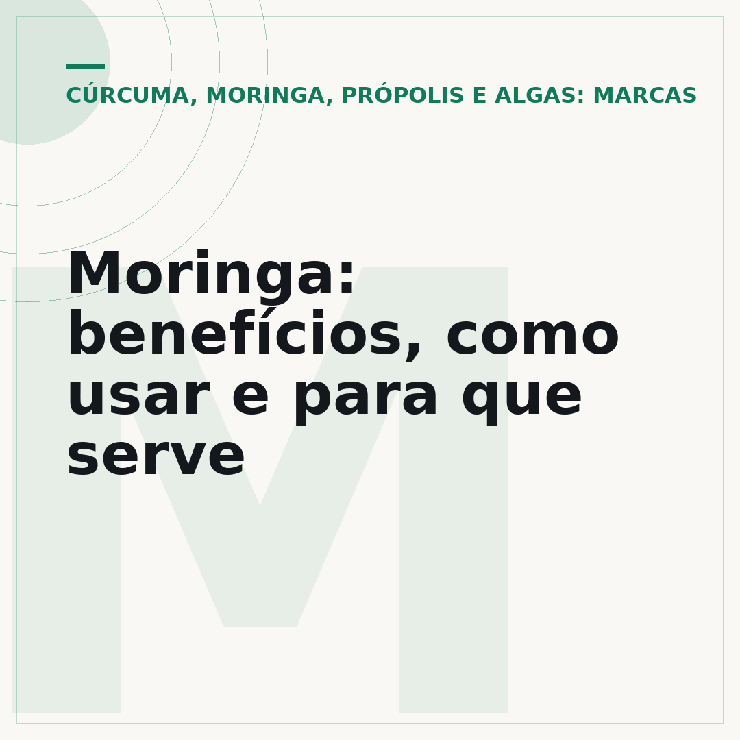 Moringa: benefícios, como usar e para que serve