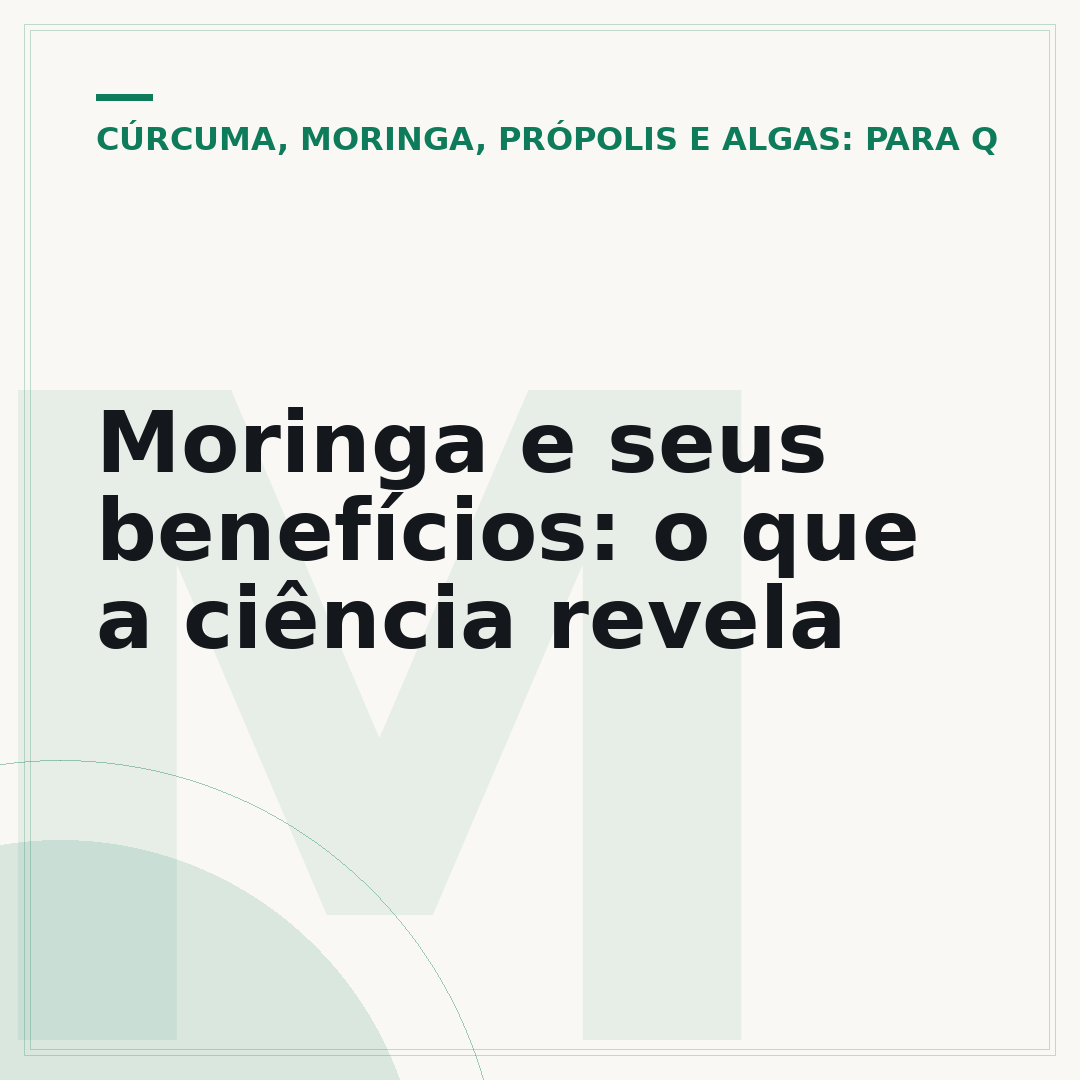 Moringa e seus benefícios: o que a ciência revela