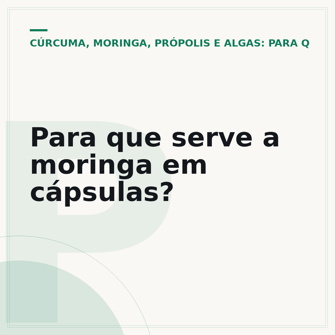 Para que serve a moringa em cápsulas?
