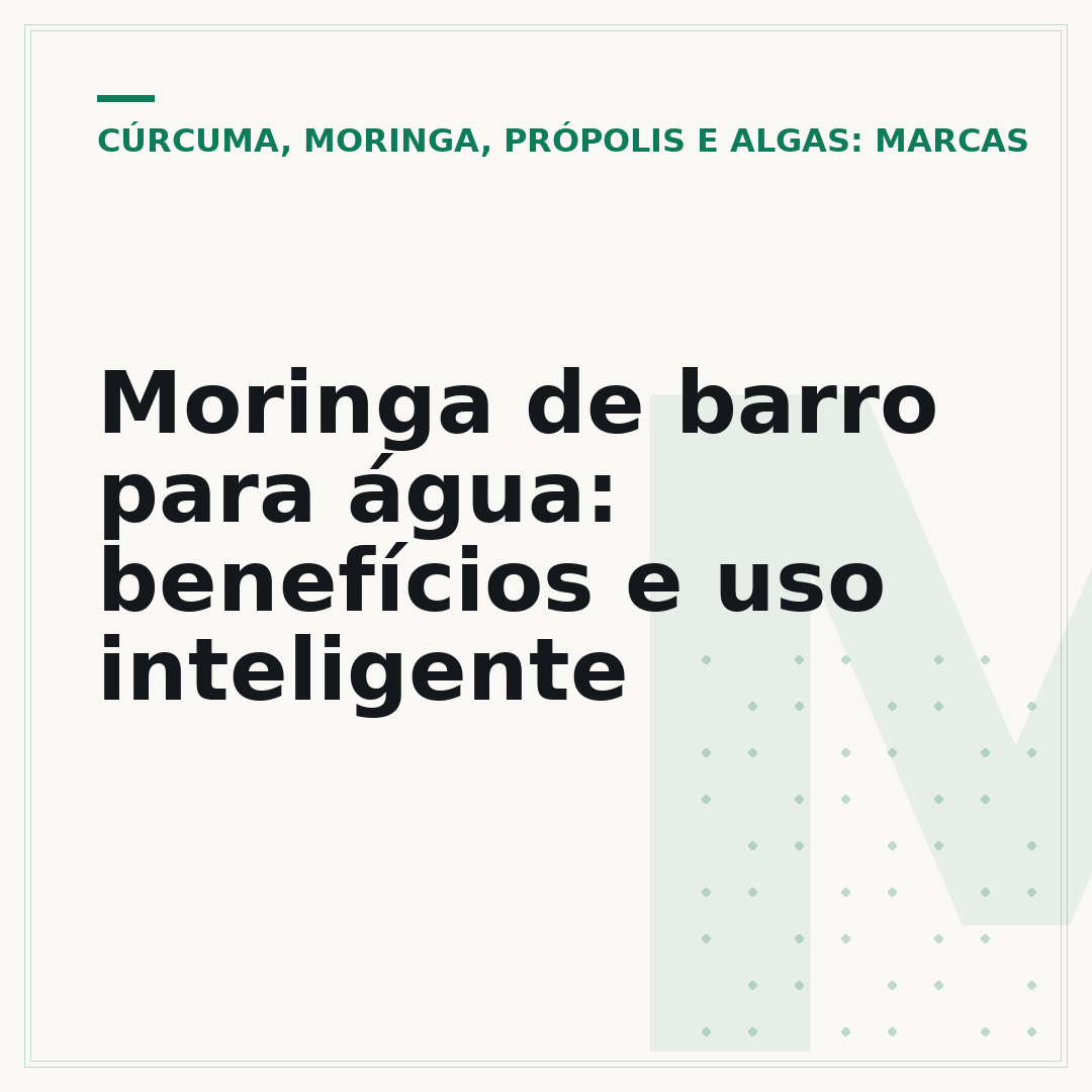 Moringa de barro para água: benefícios e uso inteligente