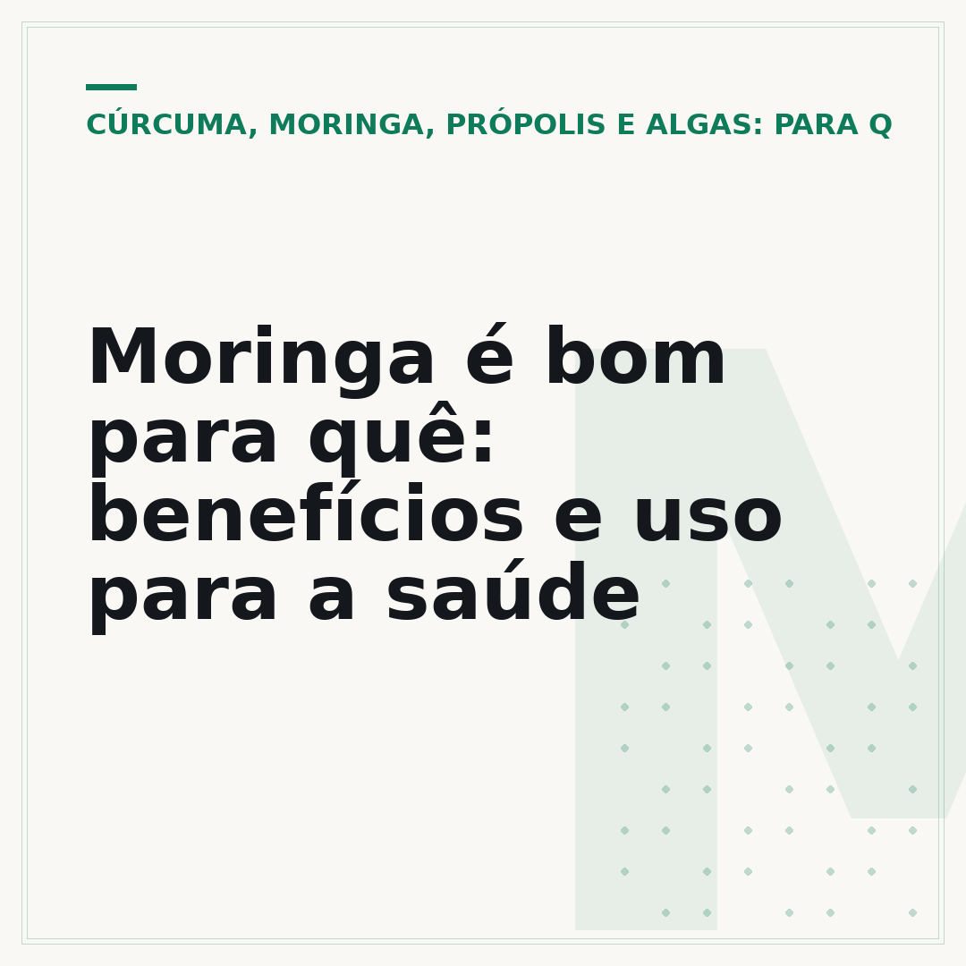 Moringa é bom para quê: benefícios e uso para a saúde