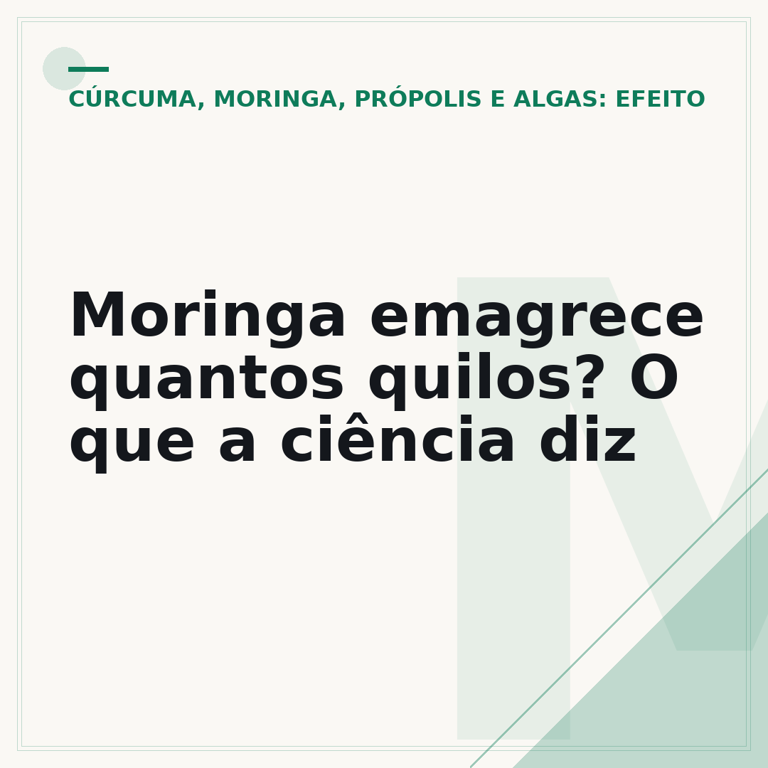 Moringa emagrece quantos quilos? O que a ciência diz