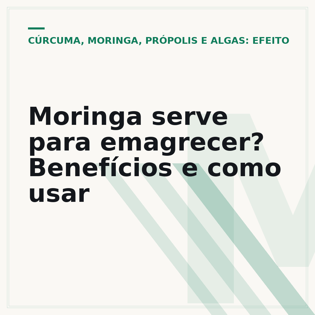 Moringa serve para emagrecer? Benefícios e como usar