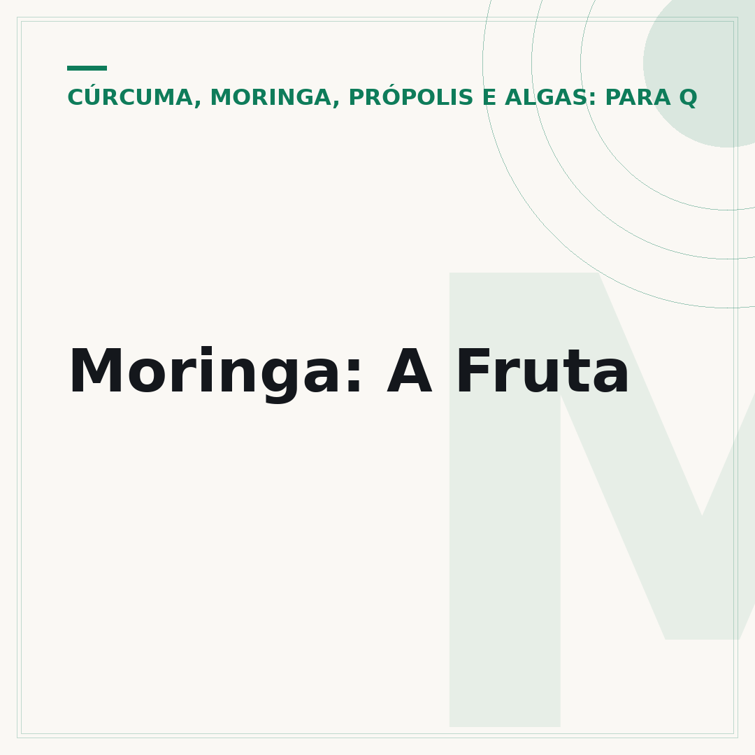 Moringa: A Fruta