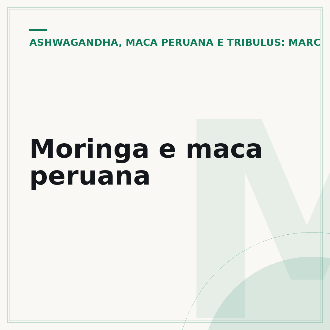 Moringa e maca peruana