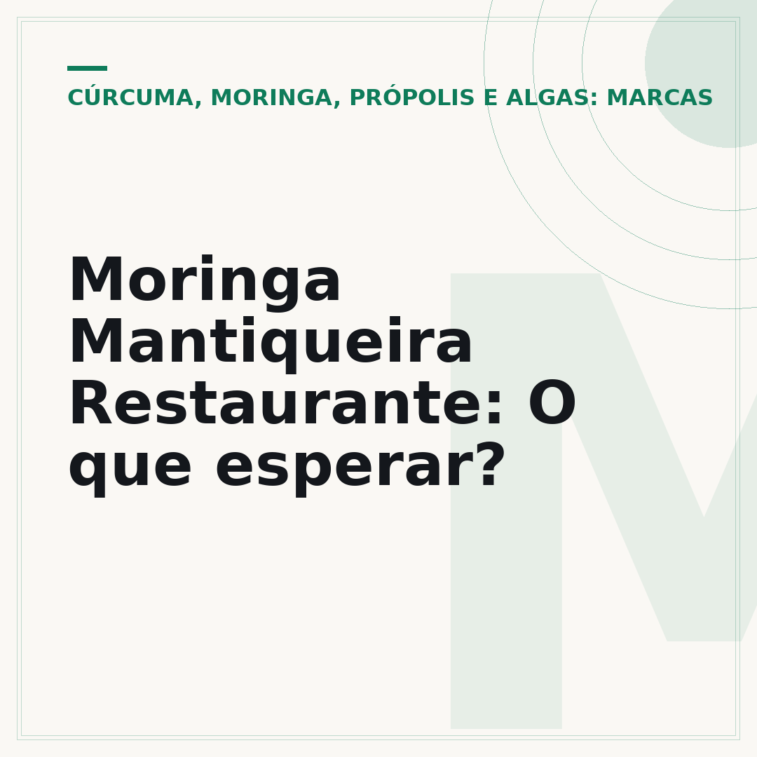 Moringa Mantiqueira Restaurante: O que esperar?