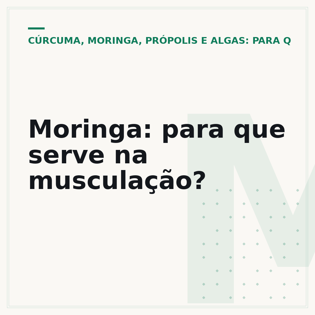 Moringa: para que serve na musculação?