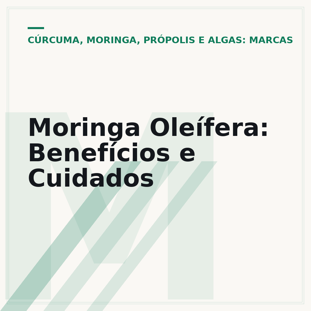 Moringa Oleífera: Benefícios e Cuidados