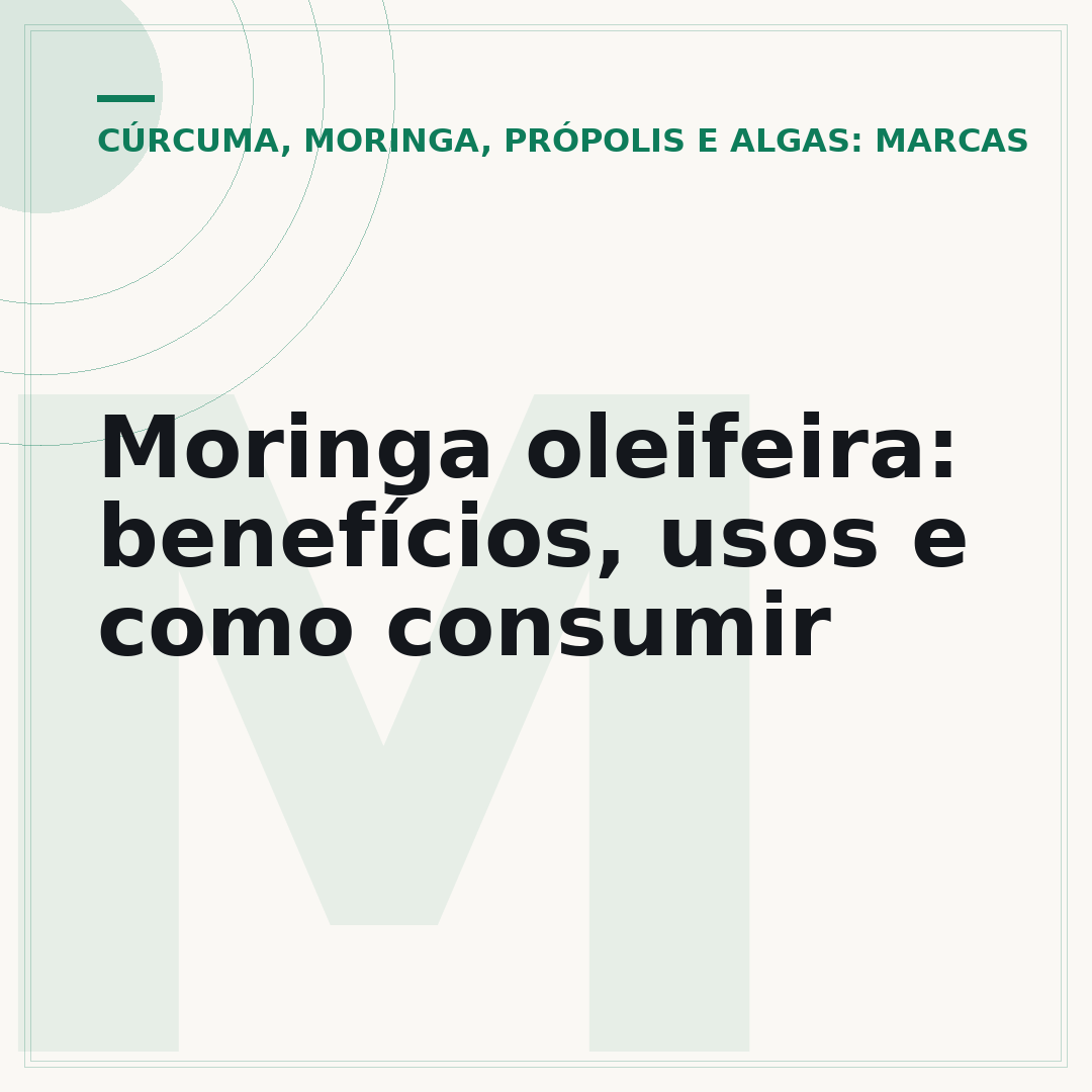 Moringa oleifeira: benefícios, usos e como consumir