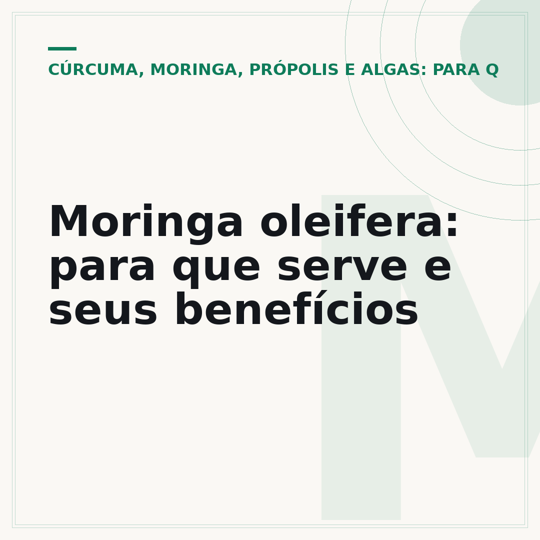 Moringa oleifera: para que serve e seus benefícios