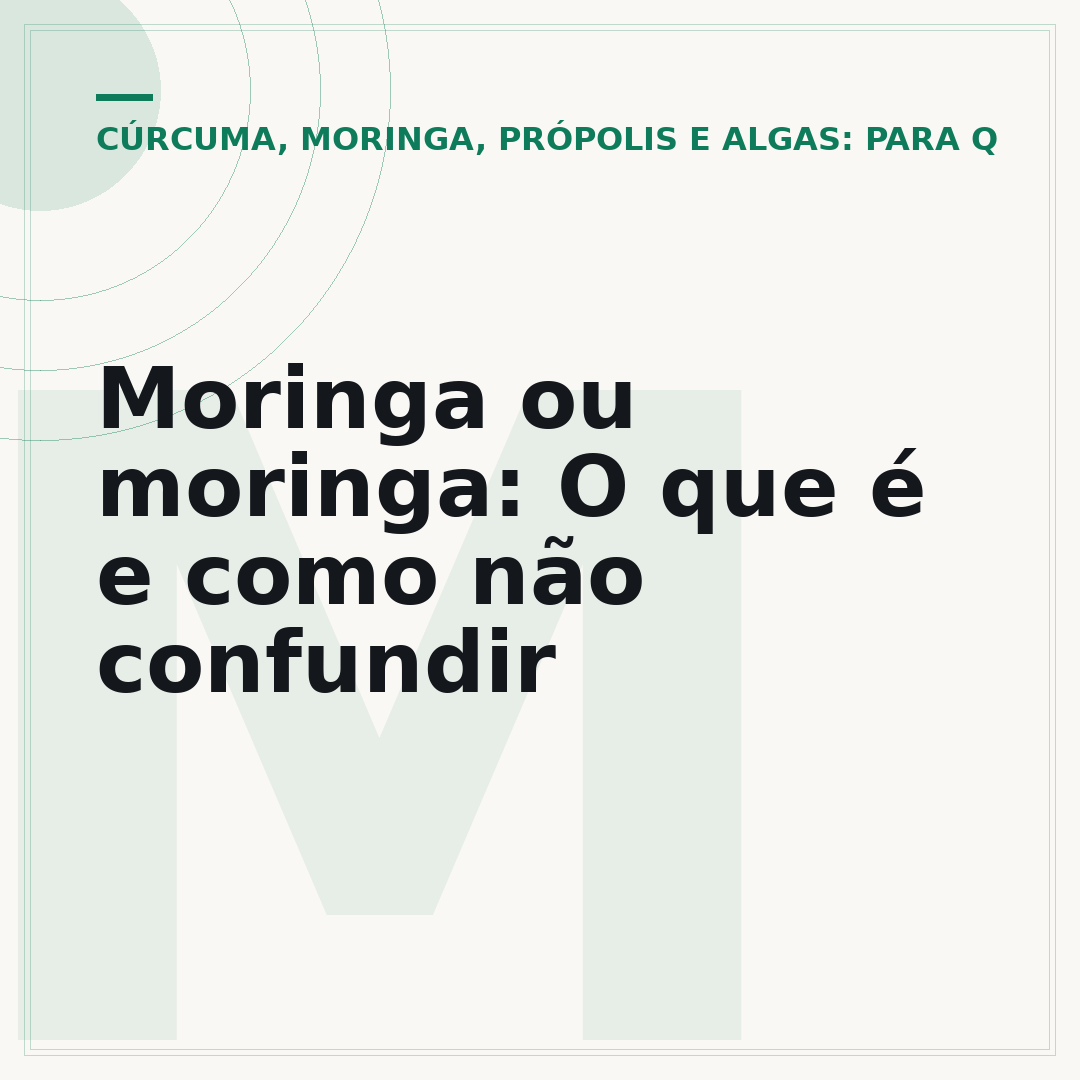 Moringa ou moringa: O que é e como não confundir