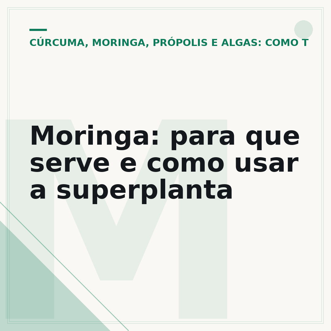 Moringa: para que serve e como usar a superplanta