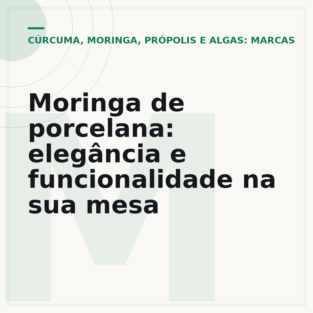 Moringa de porcelana: elegância e funcionalidade na sua mesa