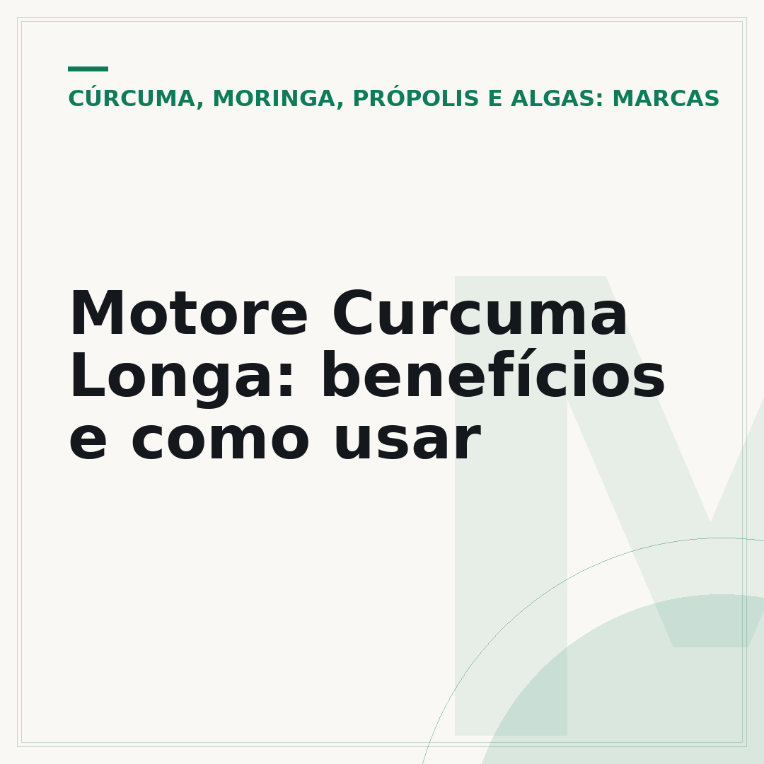 Motore Curcuma Longa: benefícios e como usar