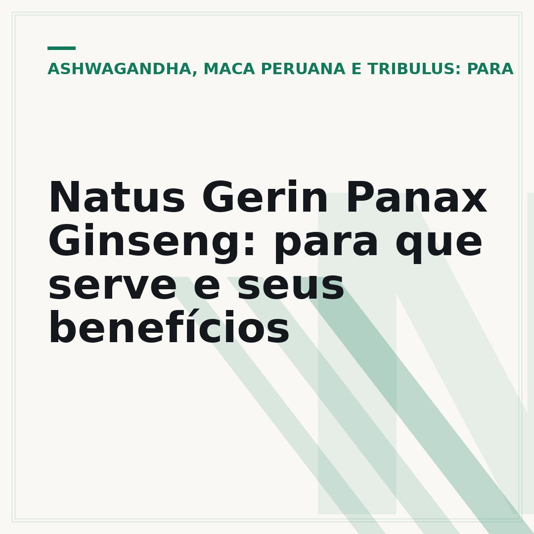 Natus Gerin Panax Ginseng: para que serve e seus benefícios