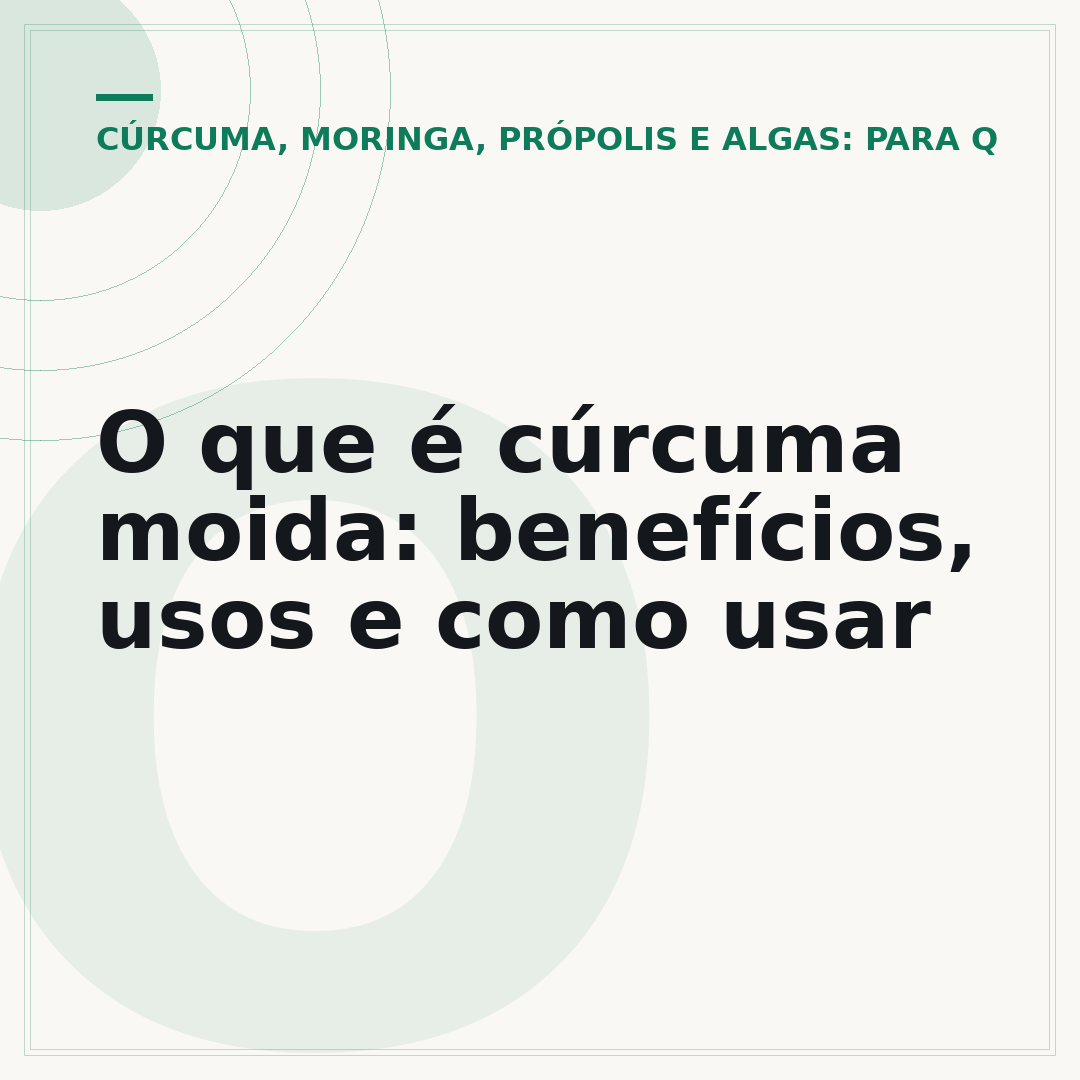 O que é cúrcuma moida: benefícios, usos e como usar