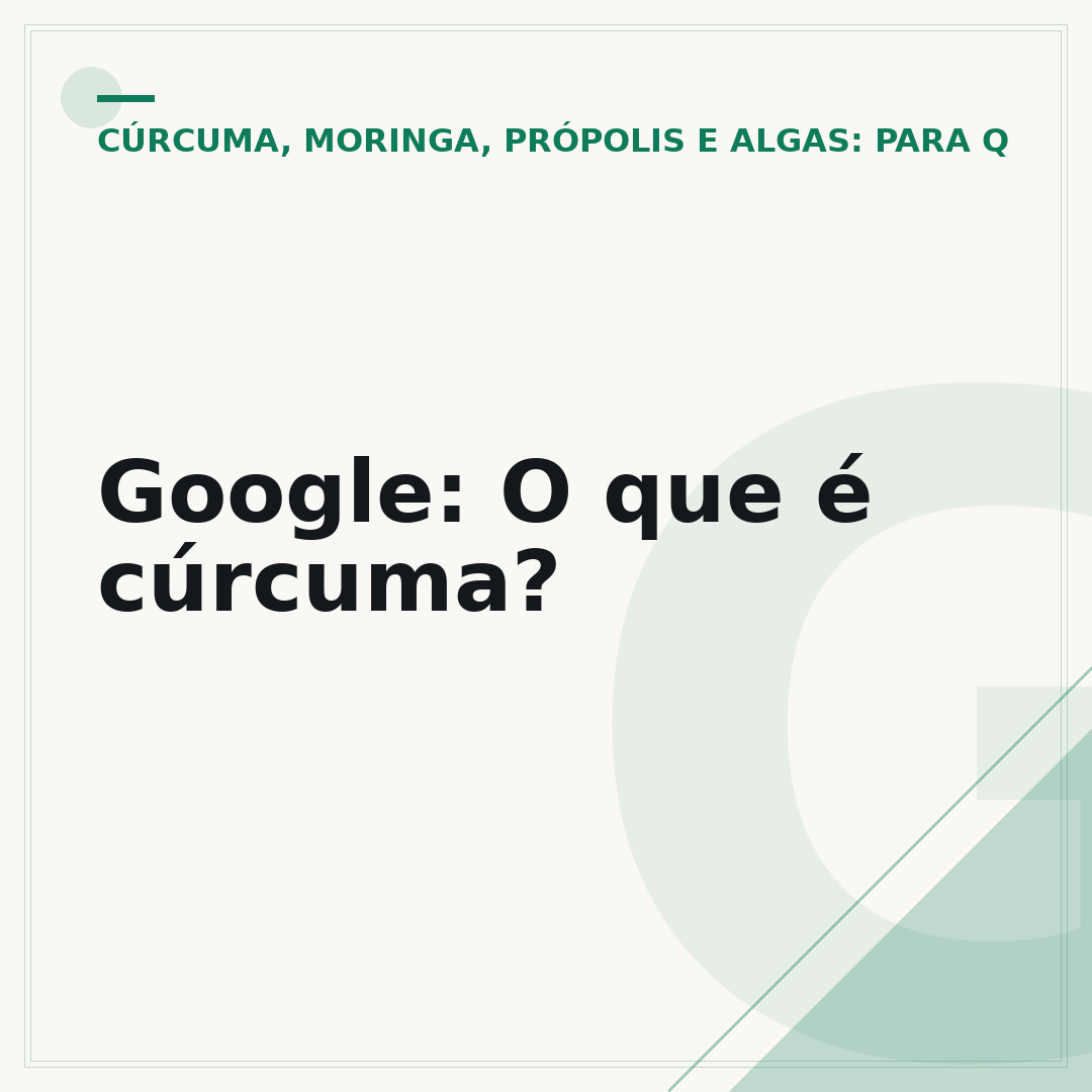 Google: O que é cúrcuma?