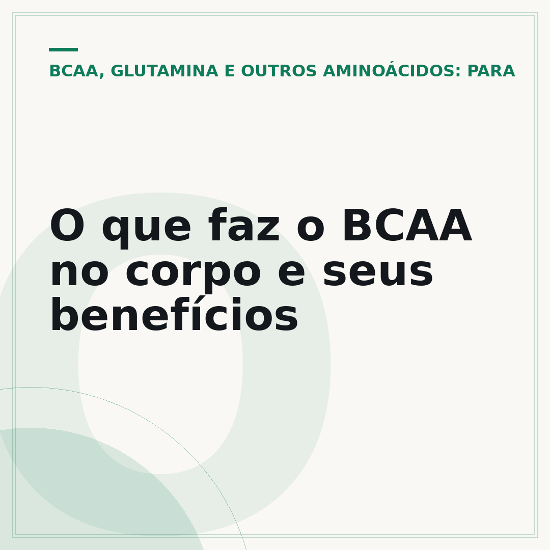 O que faz o BCAA no corpo e seus benefícios